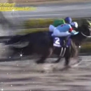 将来の夢ってありましたかー？