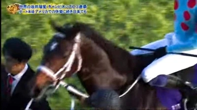 ネネちゃんのオススメは?