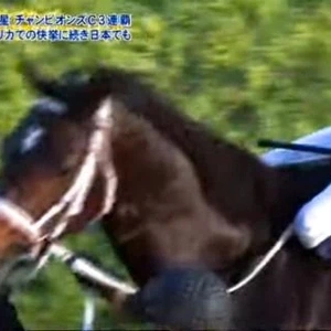 ネネちゃんのオススメは？