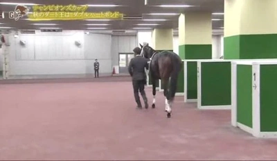 この後ろ姿をみて...