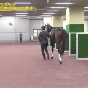 この後ろ姿をみて...