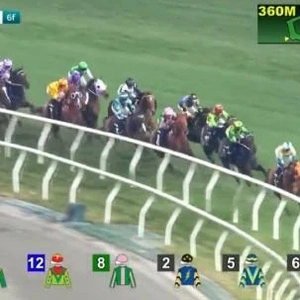 ねーぶーそーくーううう🥺🥺🥺