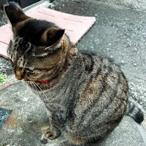 生きていれば...きっと..