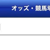 今天沙田马场有赛马比赛🏇❤️