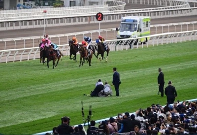 これみたひといる?