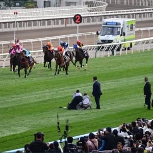 これみたひといる？