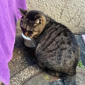スイキスご来店の際には
