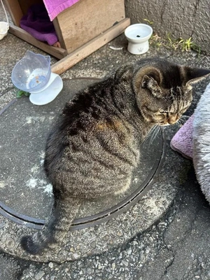 ありがとう❤️❤️❤️