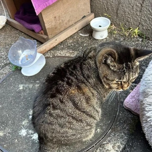 ありがとう❤️❤️❤️