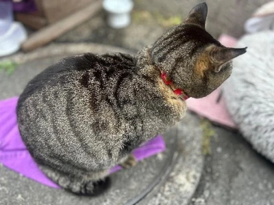 リクエストありがとう❤️❤️❤️