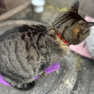 リクエストありがとう❤️❤️❤️