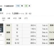 🐴淀短距離ステークス🐴