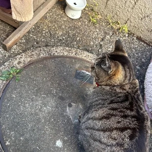 2026.01.13㊗️0:00 令和８年１月１３日㊗️