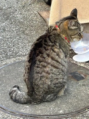 １８日は何の日か知ってる？