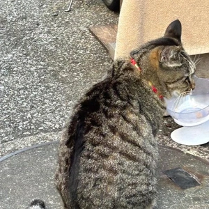 １８日は何の日か知ってる？