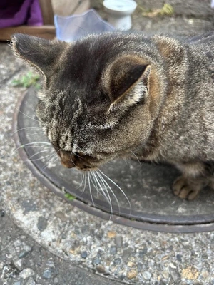 ご予約ありがとうございます