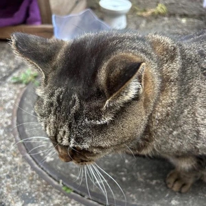 ご予約ありがとうございます
