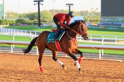 魅力的すぎて...