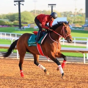 魅力的すぎて...