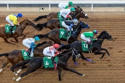 今年は午年なので