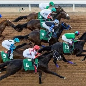 今年は午年なので