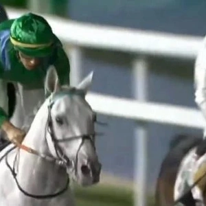 やっぱりネネは！