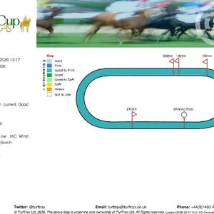 サウジアラビアは