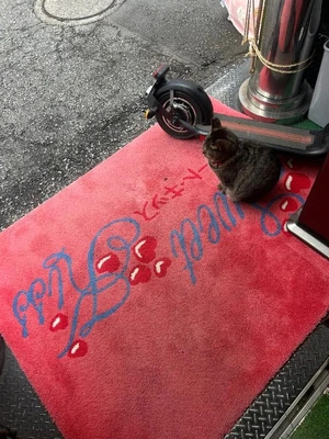 This cat will bring you happiness and luck.