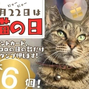 最大6個！ぜひ！この機会に！