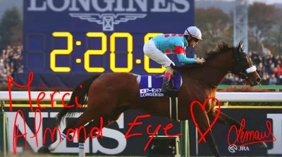 🐴 Happy birthday 🥕🎀