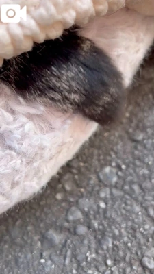 走って会いに行くからまっててね