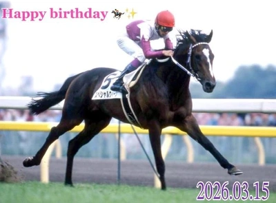 ✨🐴 Special Week 🐴✨