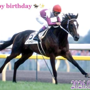 ✨🐴 Special Week 🐴✨