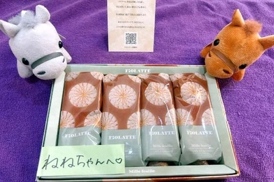 あなたのタイミングであなたらしく