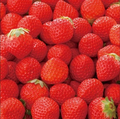 🍓  I love strawberries. 🍓