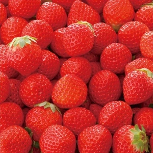 🍓  I love strawberries. 🍓