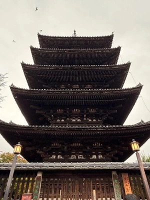 やらかしました😩