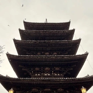 やらかしました😩