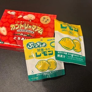 出勤🦖