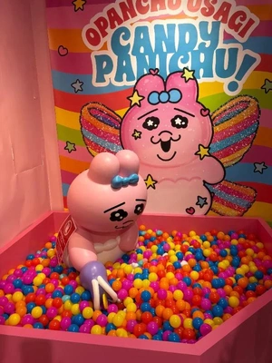 スケジュール🗓