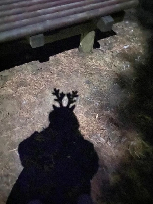 スケジュール🗓