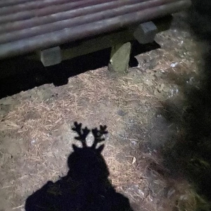 スケジュール🗓