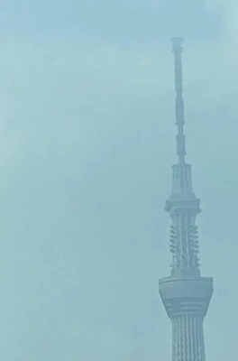 おはようございます🌤️