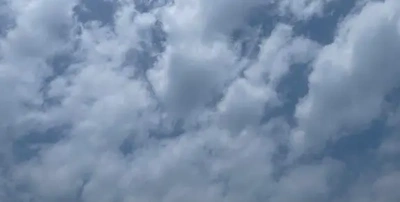 今日は七夕🎋