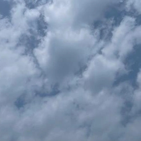 今日は七夕🎋