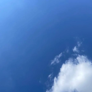いいお天気☀️