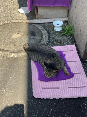 出勤