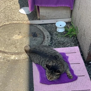 出勤