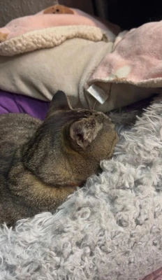 アカウント凍結