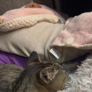 アカウント凍結